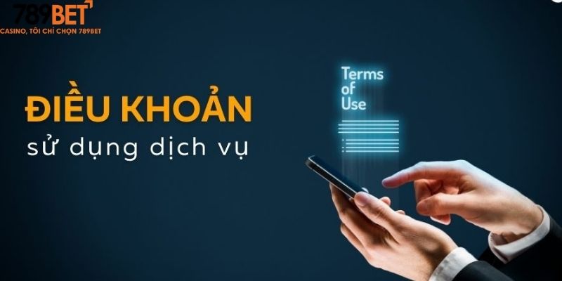 Tổng quan về các điều khoản sử dụng