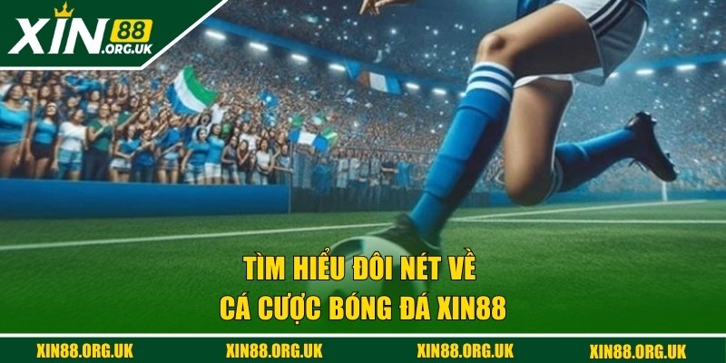 Giới thiệu về cá cược bóng đá XIN88